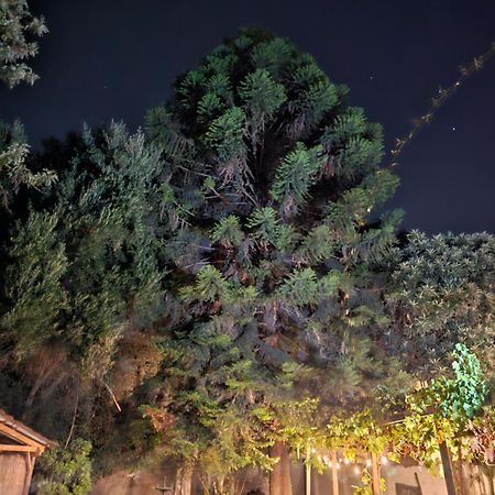 La Araucaria Cabana Con Tinaja Сан Фелипе Екстериор снимка