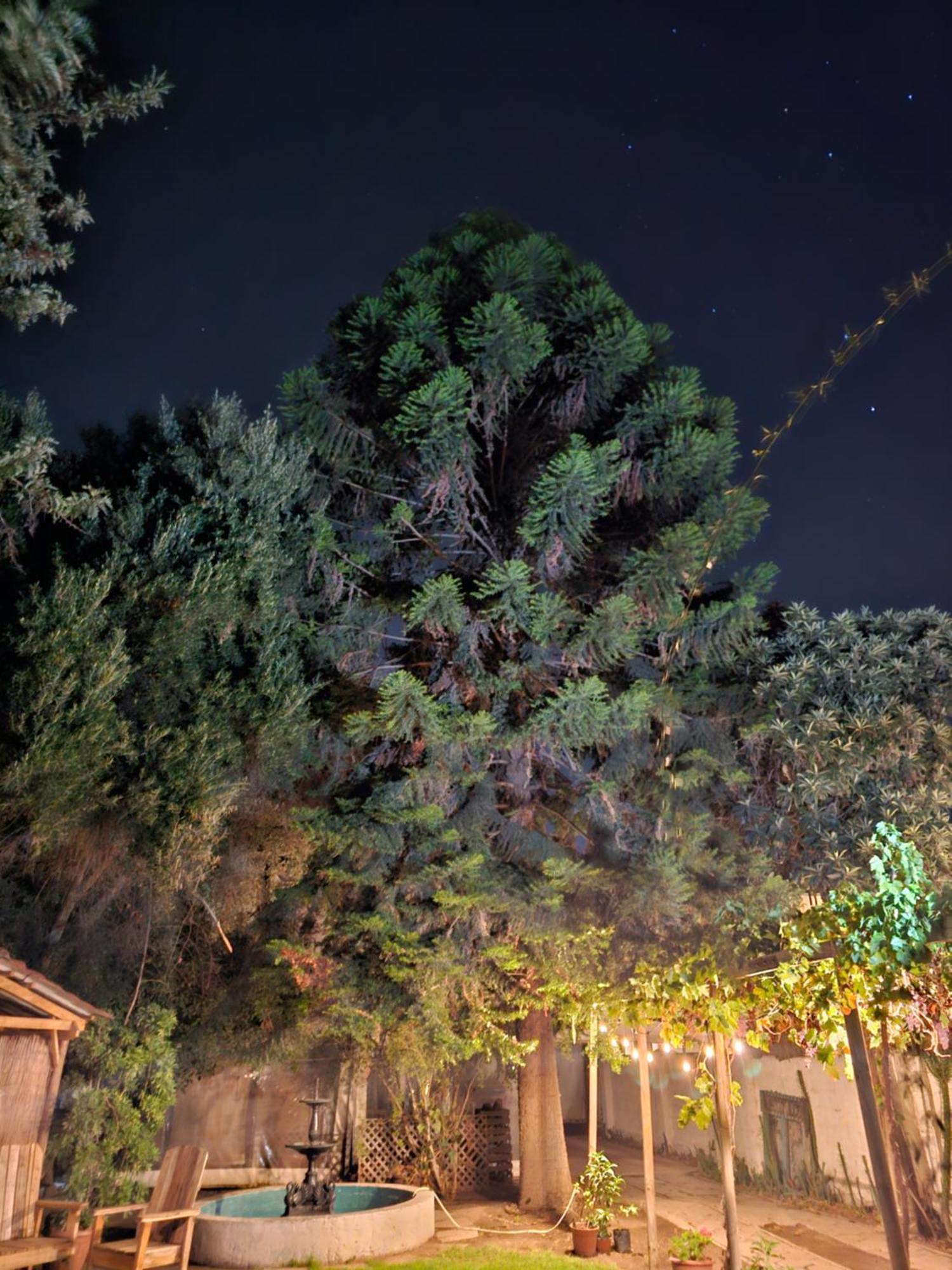 La Araucaria Cabana Con Tinaja Сан Фелипе Екстериор снимка