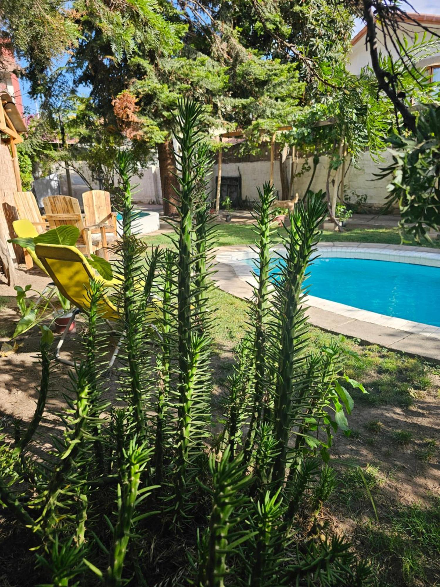 La Araucaria Cabana Con Tinaja Сан Фелипе Екстериор снимка