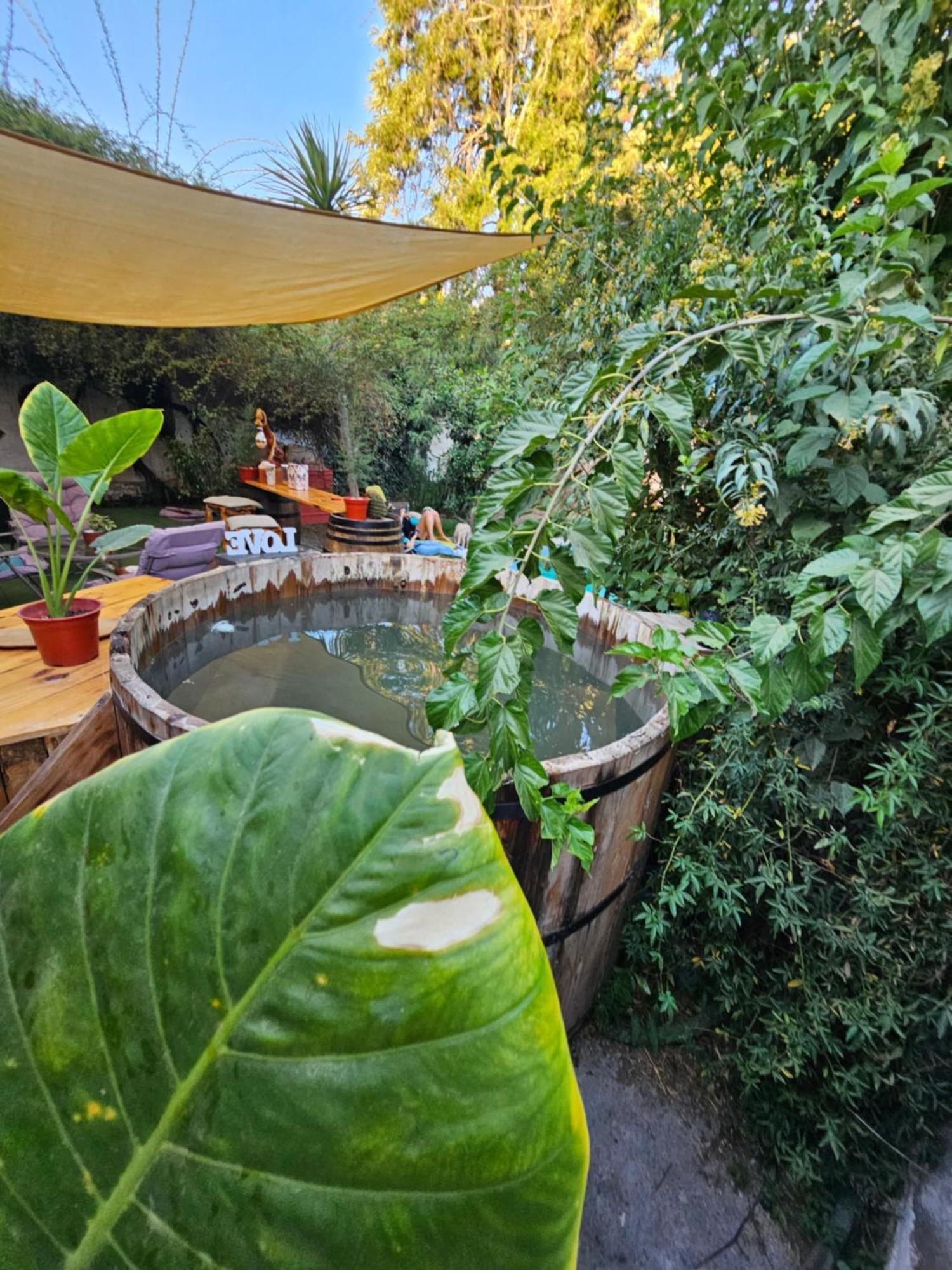 La Araucaria Cabana Con Tinaja Сан Фелипе Екстериор снимка