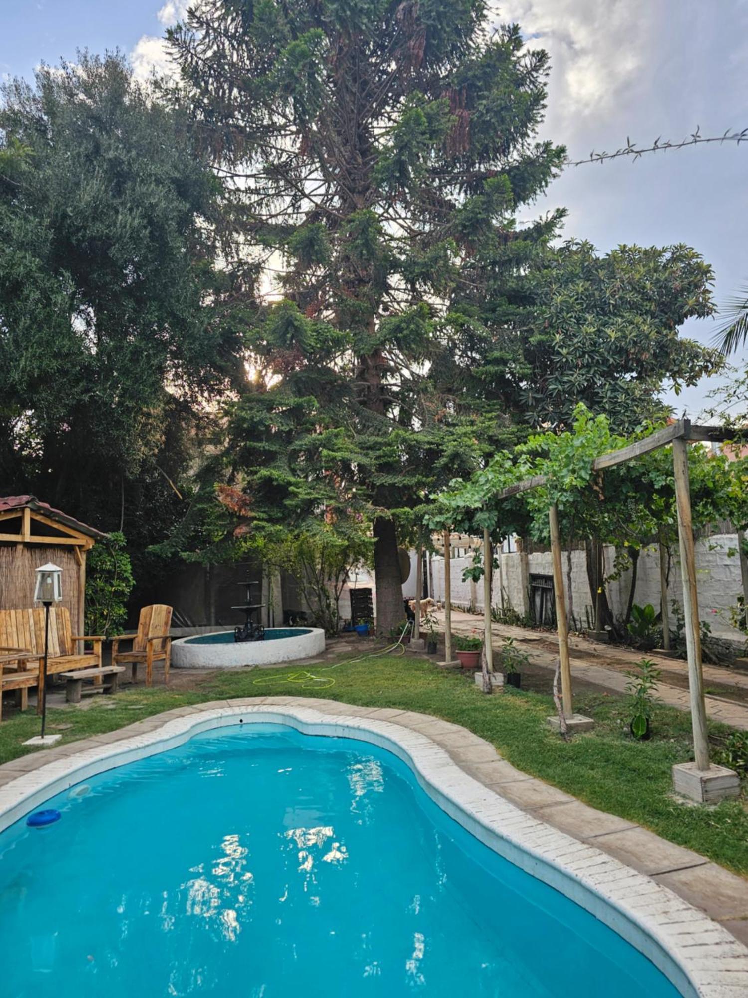 La Araucaria Cabana Con Tinaja Сан Фелипе Екстериор снимка
